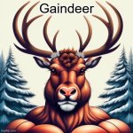 Gaindeer | Gaindeer | image tagged in gaindeer | made w/ Imgflip meme maker