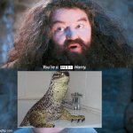 Plot twist | LIZARD | image tagged in you're a wizard harry | made w/ Imgflip meme maker
