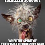 frazzled dog | EBENEEZER SCROOGE; WHEN THE SPIRIT OF CHRISTMAS FUTURE GETS DONE | image tagged in frazzled dog | made w/ Imgflip meme maker