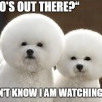 who's there | "WHO'S OUT THERE?“; "I DON'T KNOW I AM WATCHING TOO" | image tagged in bichon frise | made w/ Imgflip meme maker