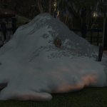 Midlander of the snowbank