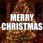 Merry Christmas 2023 | MERRY CHRISTMAS | image tagged in christmas tree,merry christmas,merry,christmas,2023,santa claus | made w/ Imgflip meme maker