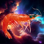Shrimp in space