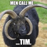 Men call me.... | MEN CALL ME ... ...TIM. | image tagged in super goat | made w/ Imgflip meme maker