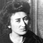 Rosa lux