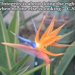 Integrity