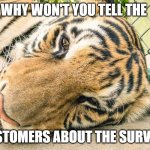 The Survey is not going anywhere | WHY WON'T YOU TELL THE; CUSTOMERS ABOUT THE SURVEY? | image tagged in sad tiger,survey | made w/ Imgflip meme maker