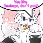 Femboys | You like femboys, don't you? | image tagged in femboy boykisser speech bubble | made w/ Imgflip meme maker