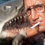 Le requin est trop petit