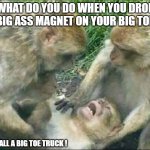 Big Toe smash | WHAT DO YOU DO WHEN YOU DROP A BIG ASS MAGNET ON YOUR BIG TOE ... YOU CALL A BIG TOE TRUCK ! | image tagged in hurt monkey | made w/ Imgflip meme maker