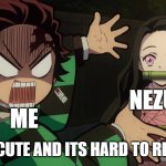 Nezuko is cute | NEZUKO; ME; SHE IS CUTE AND ITS HARD TO RESIST | image tagged in our nezuko | made w/ Imgflip meme maker