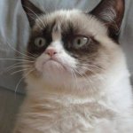 Facebook grumpy cat compatable