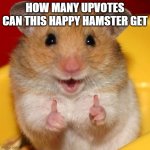 free epic Buccellato | HOW MANY UPVOTES CAN THIS HAPPY HAMSTER GET | image tagged in thumbs up | made w/ Imgflip meme maker