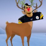 raindeer