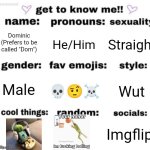 get to know me but better | Dominic (Prefers to be called "Dom"); He/Him; Straight; Wut; 💀🤨☠️; Male; Imgflip | image tagged in get to know me but better | made w/ Imgflip meme maker