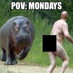 Mondays | POV: MONDAYS | image tagged in hippo vs naked guy,mondays,i hate mondays,monday,pov | made w/ Imgflip meme maker