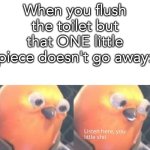 Relatable | When you flush the toilet but that ONE little piece doesn't go away: | image tagged in listen here you little shit,upvotes,memes,funny | made w/ Imgflip meme maker