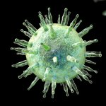 Epstein Barr virus