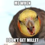 Angy birb | ME WHEN; I DON'T GET MILLET | image tagged in screm birb | made w/ Imgflip meme maker