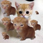 cutsie