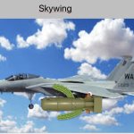 Skywings in a nutshell template
