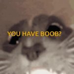 Cat GIF Template