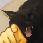 Black Cat Laughs template