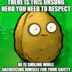 JUSTICE TO WALL-NUT | THERE IS THIS UNSUNG HERO YOU NEED TO RESPECT; HE IS SMILING WHILE SACRIFICING HIMSELF FOR YOUR SAFETY | image tagged in wall-nut,plants vs zombies | made w/ Imgflip meme maker