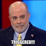 Triggered | TRIGGERED!!! | image tagged in mark levin | made w/ Imgflip meme maker