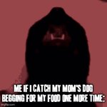 Happy new year's eve to me | ME IF I CATCH MY MOM'S DOG BEGGING FOR MY FOOD ONE MORE TIME: | image tagged in gifs,cat rage,mad cat,pets can be jerks sometimes,savage memes,enough is enough | made w/ Imgflip video-to-gif maker