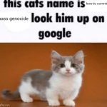 Very cute cat, no need to worry about the FBI... | how to commit; mass genocide | image tagged in this cats name is x look him up on google | made w/ Imgflip meme maker