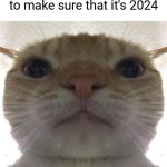 Just making sure. | POV: Me checking my phone to make sure that it's 2024 | image tagged in staring cat/gusic,2024,new year,memes,funny | made w/ Imgflip meme maker