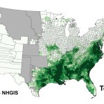 African-American Black population distribution USA 1860