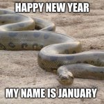 Happy New Year, it's January slithering to you | HAPPY NEW YEAR; MY NAME IS JANUARY | image tagged in anaconda,january,happy new year,memes,eek,doom | made w/ Imgflip meme maker