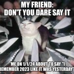 I haven't been on here in awhile :( | MY FRIEND: DON'T YOU DARE SAY IT; *ME ON 1/1/24 ABOUT TO SAY "I REMEMBER 2023 LIKE IT WAS YESTERDAY"* | image tagged in knife cat,memes,happy new year | made w/ Imgflip meme maker