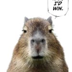 Nah I'd win speech bubble | image tagged in nah i'd win speech bubble,capybara,memes,meme,animeme,shitpost | made w/ Imgflip meme maker