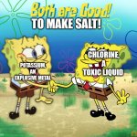 [Huuugh] + [BOOOM] = [adds it to food] | TO MAKE SALT! POTASSIUM, AN EXPLOSIVE METAL; CHLORINE, A TOXIC LIQUID | image tagged in both are good,memes,chlorine,potassium,salt | made w/ Imgflip meme maker