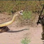 ya wey dejalo salir Meme Template