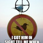 i got him | I GOT HIM IN SIGHT TELL ME WHEN | image tagged in seagull on top of no seagull sign | made w/ Imgflip meme maker