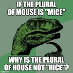 True tho | IF THE PLURAL OF MOUSE IS ''MICE''; WHY IS THE PLURAL OF HOUSE NOT ''HICE''? | image tagged in filosoraptor i | made w/ Imgflip meme maker