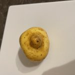 Potato Tiddy