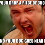 random meme | WHEN YOUR DROP A PIECE OF CHOCOLATE; AND YOUR DOG GOES NEAR IT | image tagged in guy screaming | made w/ Imgflip meme maker