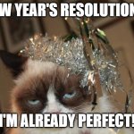 Grumpy Cat New Years | NEW YEAR'S RESOLUTION?! I'M ALREADY PERFECT! | image tagged in grumpy cat new years | made w/ Imgflip meme maker