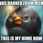 angry birds bomb | I WAS BANNED FROM MSMG; THIS IS MY HOME NOW | image tagged in angry birds bomb | made w/ Imgflip meme maker