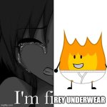 I'm Firey underwear | REY UNDERWEAR | image tagged in im fi | made w/ Imgflip meme maker