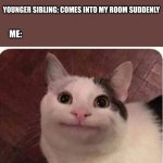 singing? who me? | ME: SINGING QUIETLY IN MY ROOM; YOUNGER SIBLING: COMES INTO MY ROOM SUDDENLY; ME: | image tagged in polite cat,beluga,fun,funny,cat,younger siblings | made w/ Imgflip meme maker