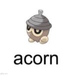 acorn meme
