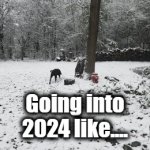 Let the New Year begin | Going into 2024 like.... | image tagged in gifs,dogs,look out,funny dogs,crazy dog | made w/ Imgflip video-to-gif maker