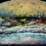 mouldy burger