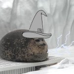 Wizard Seal meme